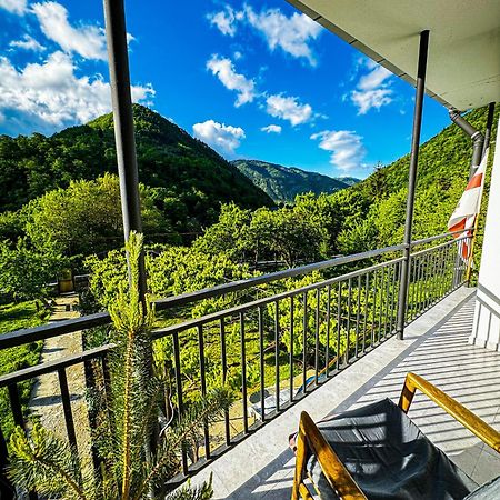 Family Hotel Mountain Panorama Borjomi Eksteriør bilde