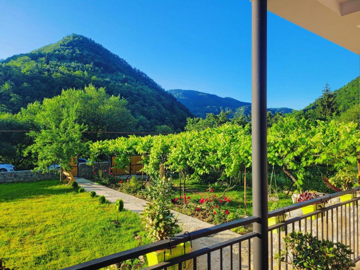 Family Hotel Mountain Panorama Borjomi Eksteriør bilde