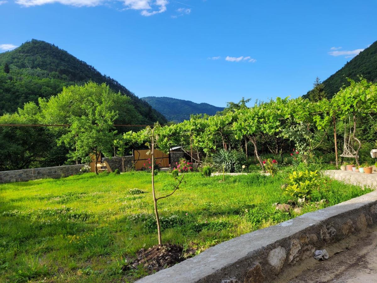 Family Hotel Mountain Panorama Borjomi Eksteriør bilde