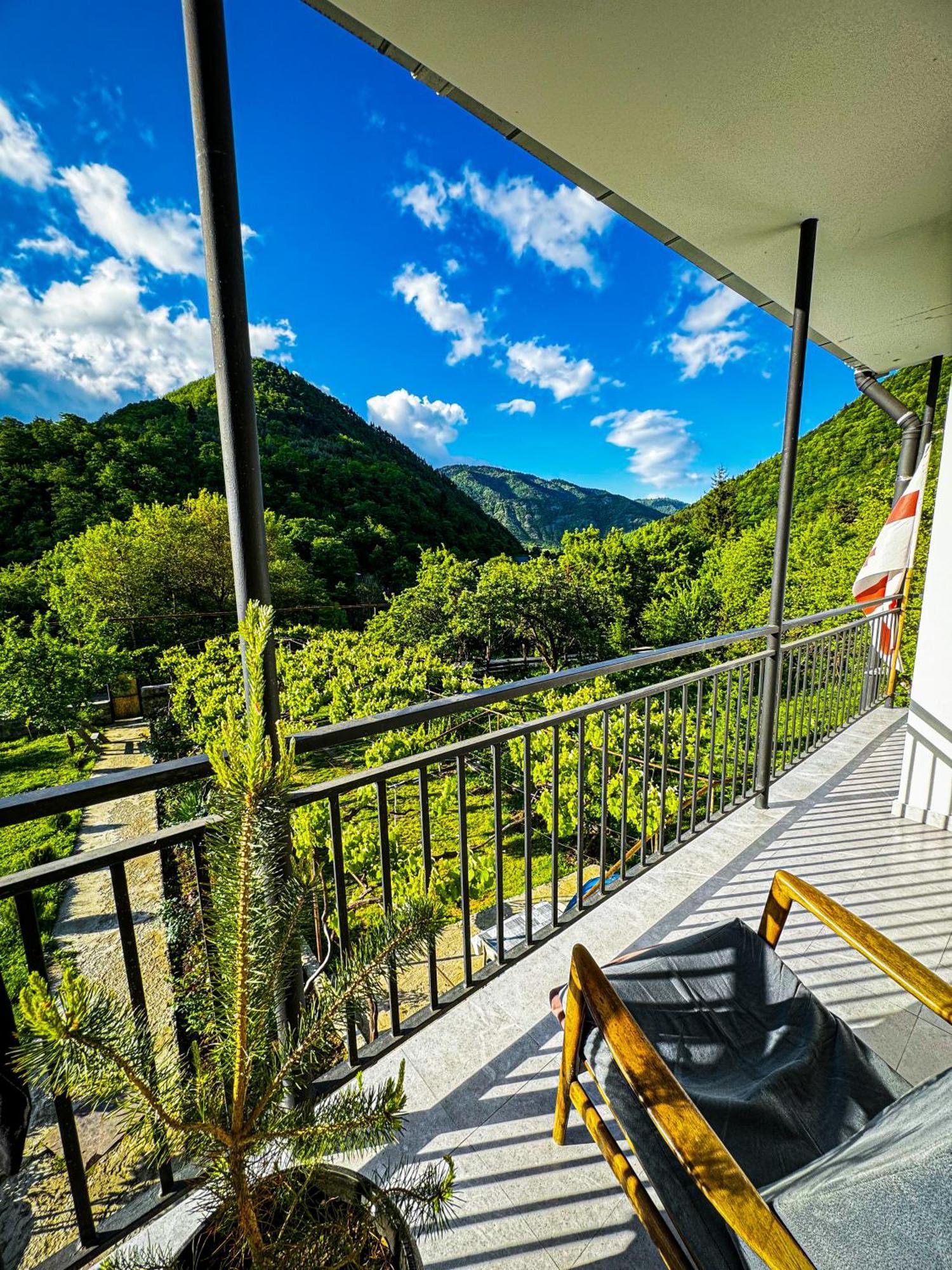 Family Hotel Mountain Panorama Borjomi Eksteriør bilde