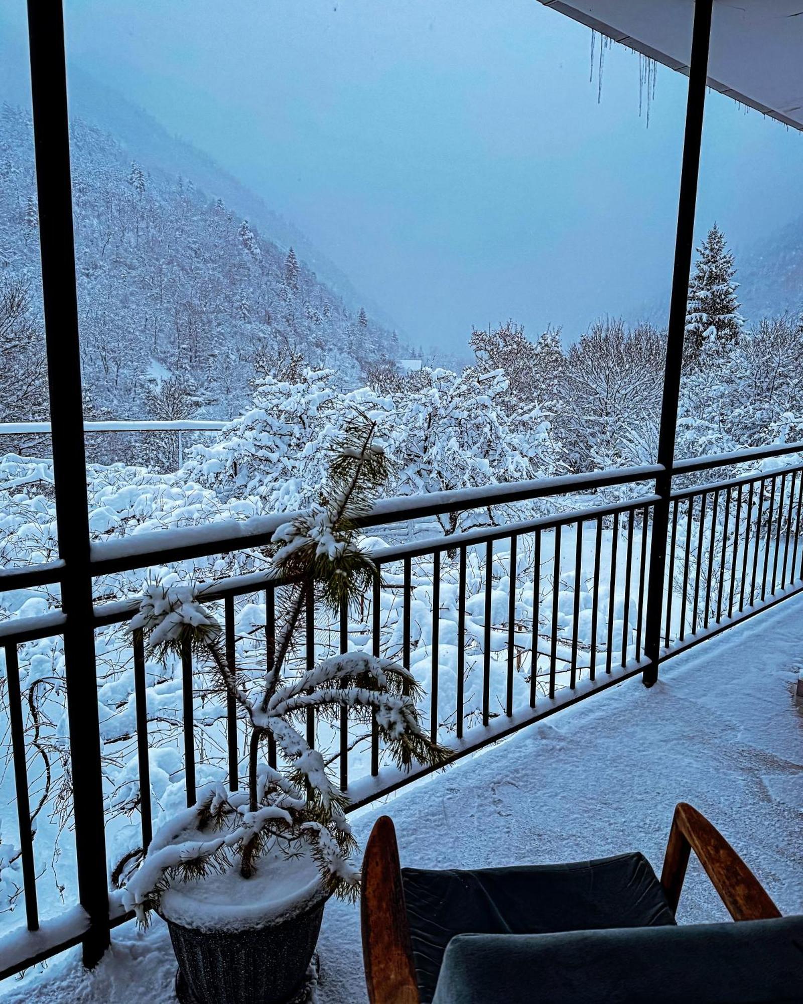 Family Hotel Mountain Panorama Borjomi Eksteriør bilde